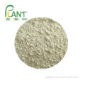 /msite/products/detail/productid/59519684/id/1001359.html